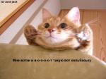 att-4a3013dee7275____.jpg